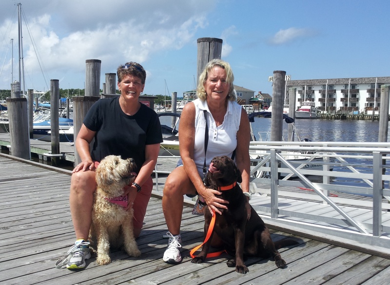K10 Dog Training certifies Canine Good Citizen Cape Gazette